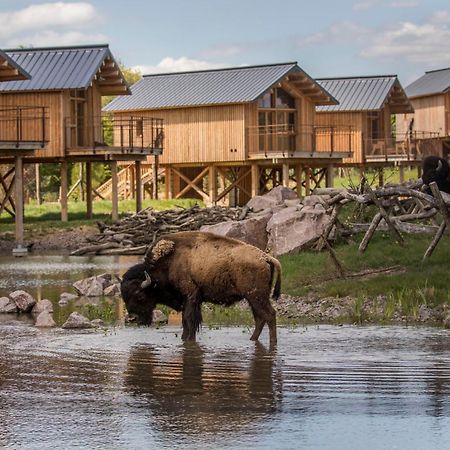 Parc Animalier De Sainte-Croix Hotel Rhodes Ngoại thất bức ảnh