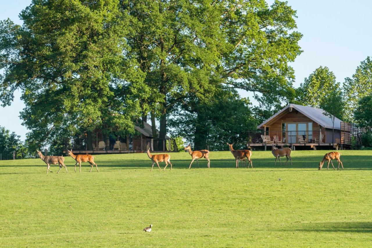 Parc Animalier De Sainte-Croix Hotel Rhodes Ngoại thất bức ảnh