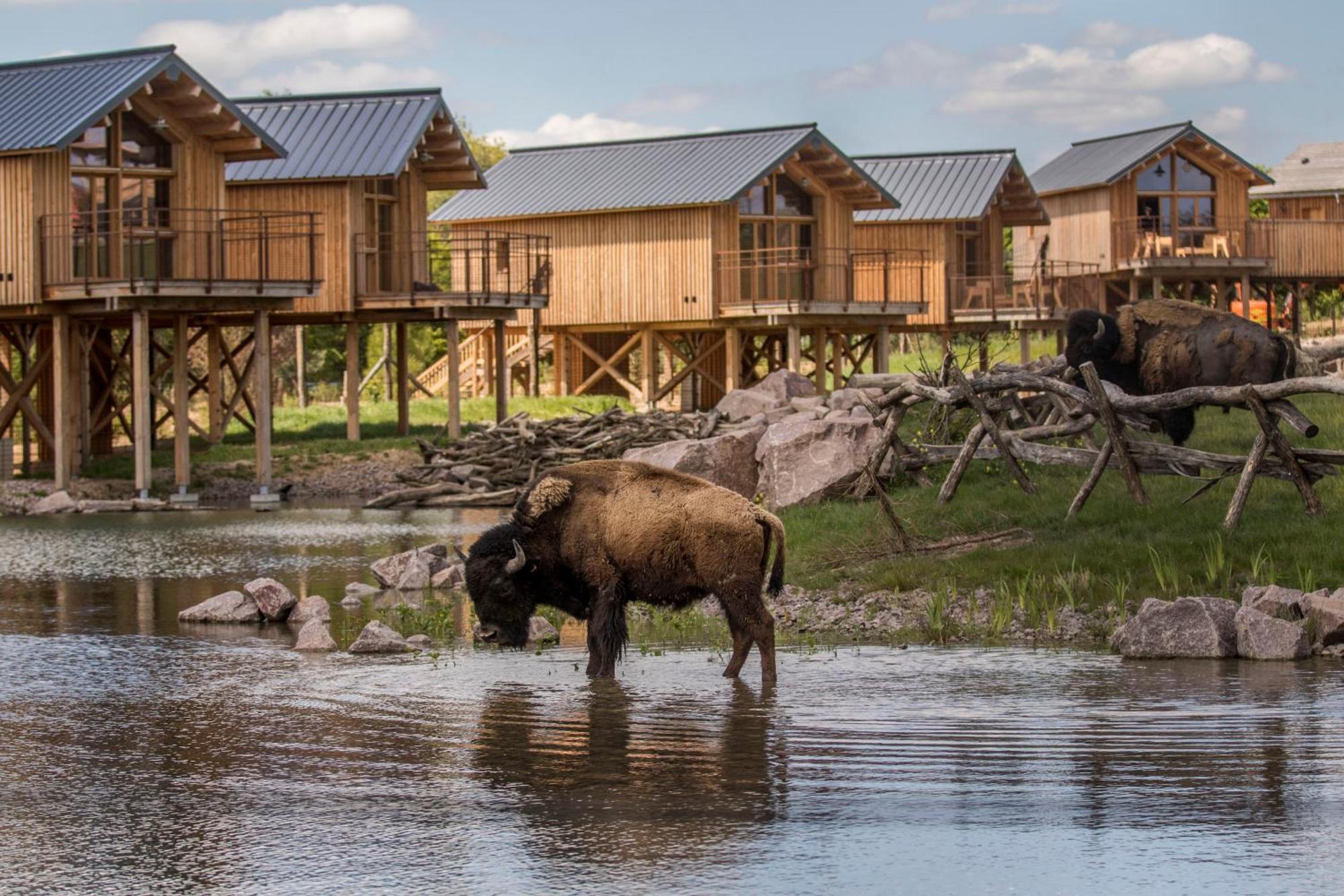Parc Animalier De Sainte-Croix Hotel Rhodes Ngoại thất bức ảnh