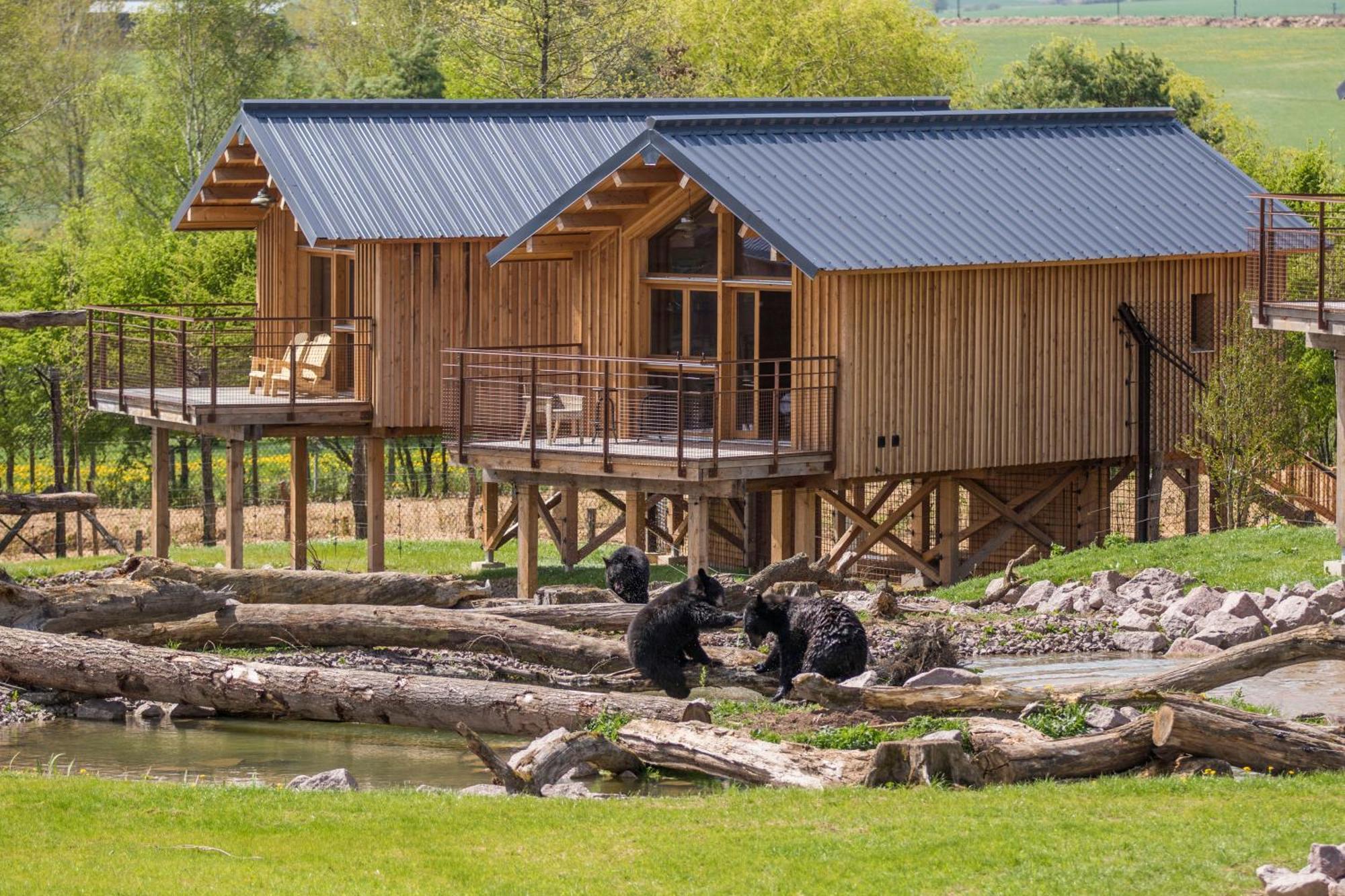 Parc Animalier De Sainte-Croix Hotel Rhodes Ngoại thất bức ảnh